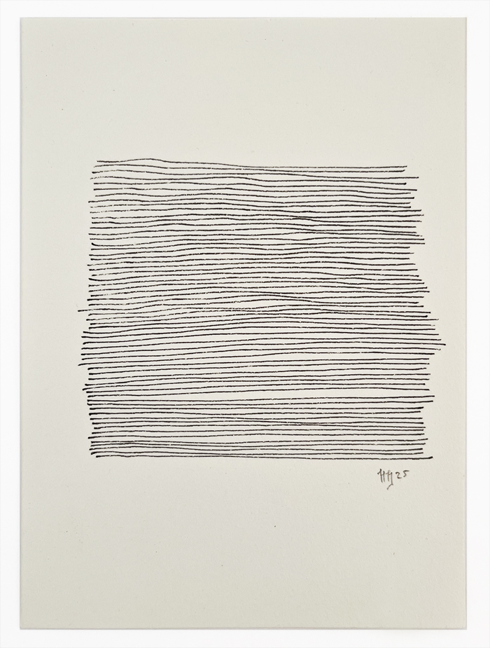 25_lijnen(15x11)