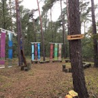 21_Panta rhei, 300x750, 15 panels, first day.jpg