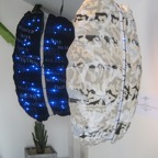 07-Male Brain - Female Brain,90x130x20(700).jpg